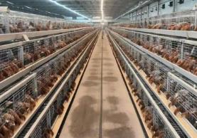 黑龍江農(nóng)產(chǎn)品走向“全國名特優(yōu)新”之路