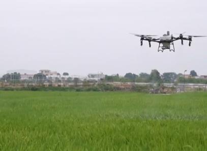 各地麥?zhǔn)占铀偻七M(jìn) 夏種夏管有序進(jìn)行