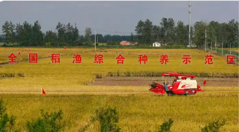 江蘇：“新農(nóng)人”賦能鄉(xiāng)村振興