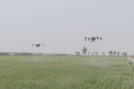 綠色生產(chǎn)、科技護(hù)航 夏收季田間地頭糧食豐收果實(shí)飄香