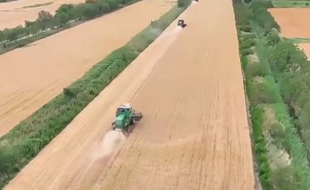 全國夏糧小麥進(jìn)入收獲高峰期