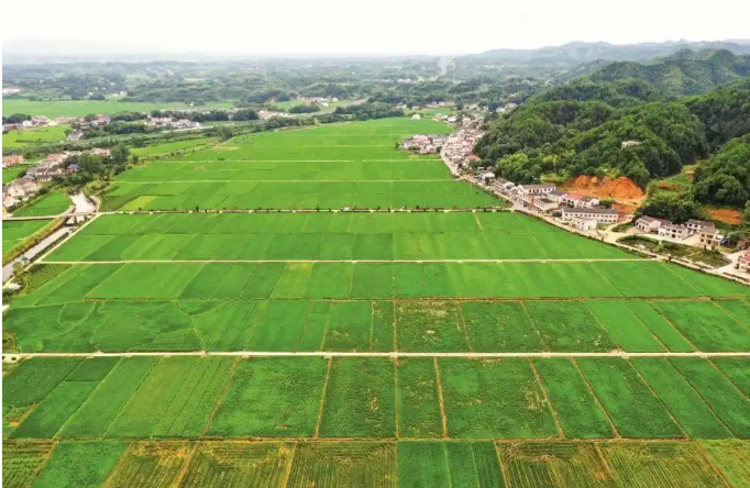 以縣域為統(tǒng)籌單元，以鄉(xiāng)鎮(zhèn)為基本實施單元 湖南深入推進全域土地綜合整治