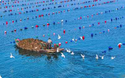 山東日照市海洋漁業(yè)提質(zhì)增效步伐行穩(wěn)致遠