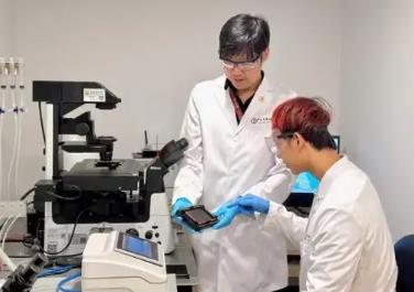 中國(guó)團(tuán)隊(duì)聯(lián)合破解細(xì)胞膜的“脆弱密碼”