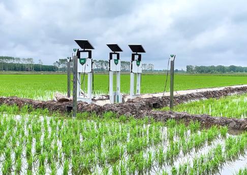 北斗導(dǎo)航繪制“豐收圖景” 農(nóng)機(jī)馳騁助力“三夏”顆粒盡歸倉