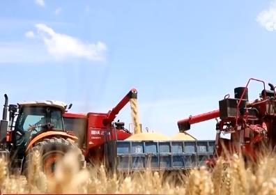 北斗導(dǎo)航、人工智能平臺…… 科技帶來豐收底氣