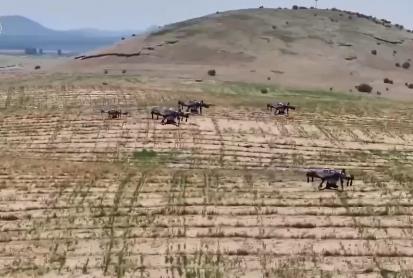 我國(guó)十余年間完成沙化土地治理3.65億畝