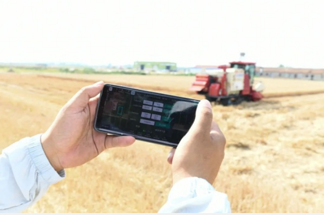 數(shù)據(jù)流“種田” 山東國資國企開啟智慧“新豐景”