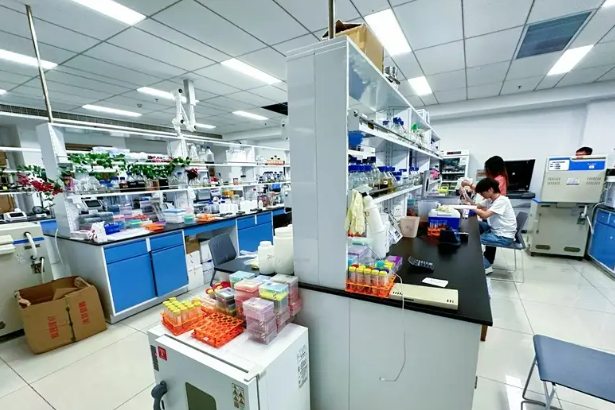 江蘇宜興： 院士天團“搶灘”食品生物制造業(yè)