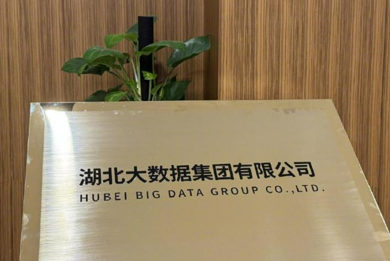 六家企業(yè)出資50億元組建湖北大數(shù)據(jù)集團