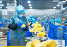 冷凍飲品總體食品安全狀況穩(wěn)定向好