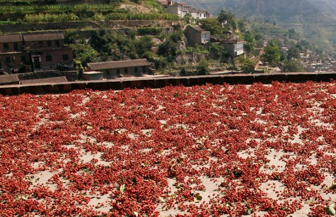 河北涉縣培育品牌精品激發(fā)鄉(xiāng)村振興新活力