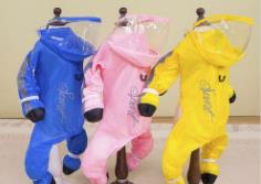 “小狗雨衣”搜索量環(huán)比增長超9倍 梅雨季來臨 寵物雨衣成剛需