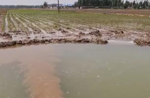 2025年全國春灌總面積約4.3億畝 水網(wǎng)建設(shè)保農(nóng)作物灌溉 保糧食豐收