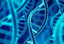 細(xì)胞新圖譜揭示關(guān)鍵DNA對癌癥進(jìn)化的作用