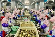 全國第一！今年前5個月福建鮑魚制品出口規(guī)模創(chuàng)新高