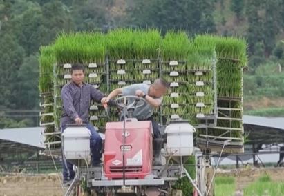 “機械+科技”、稻鴨共養(yǎng)、移動菇房 “智慧”引擎激活鄉(xiāng)村振興新動能