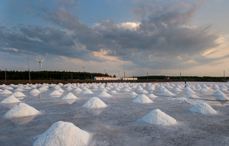 廣東鹽業(yè)集團(tuán)向“綠”前行 以節(jié)能低碳繪就高質(zhì)量發(fā)展新畫卷