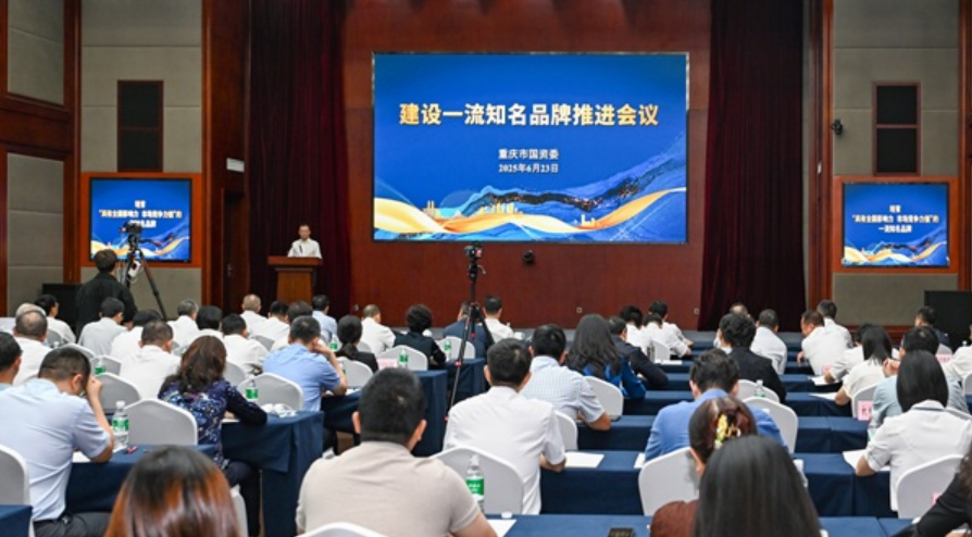 重慶國資國企推進(jìn)一流知名品牌建設(shè) “8+8”品牌矩陣集中亮相