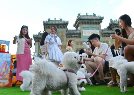 創(chuàng)新消費場景，寵物經(jīng)濟熱潮涌動