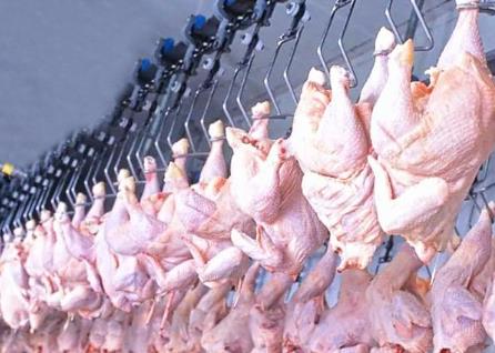 雞肉供應(yīng)充足物美價廉