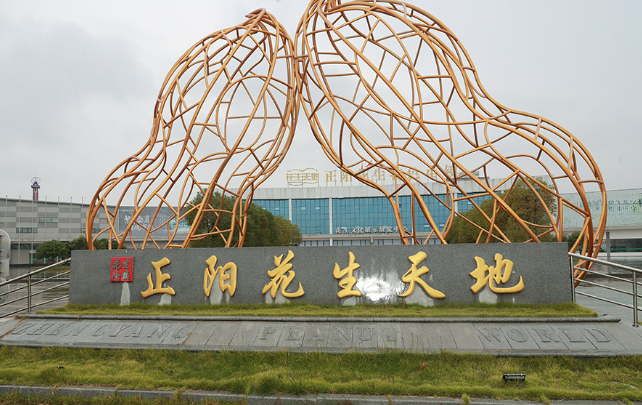 “智造+直播”助力河南正陽花生產(chǎn)業(yè)蝶變