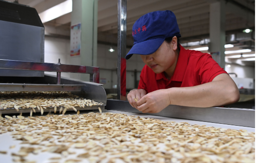 漲價(jià)容易降價(jià)難 中藥價(jià)格高企需“降虛火”