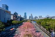 廣東首個都市圈生態(tài)環(huán)保規(guī)劃發(fā)布