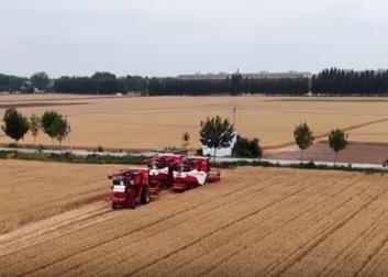 農(nóng)業(yè)農(nóng)村部組織開展奮戰(zhàn)100天抓夏管提單產(chǎn)抗災奪秋糧豐收行動