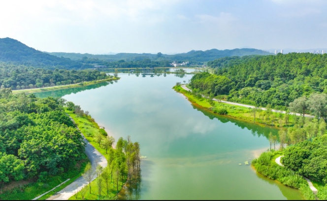 江河安瀾如何保障？國家水網(wǎng)建設(shè)有何進(jìn)展？河湖生態(tài)環(huán)境怎樣復(fù)蘇？——24項舉措全面推進(jìn)江河保護(hù)治理