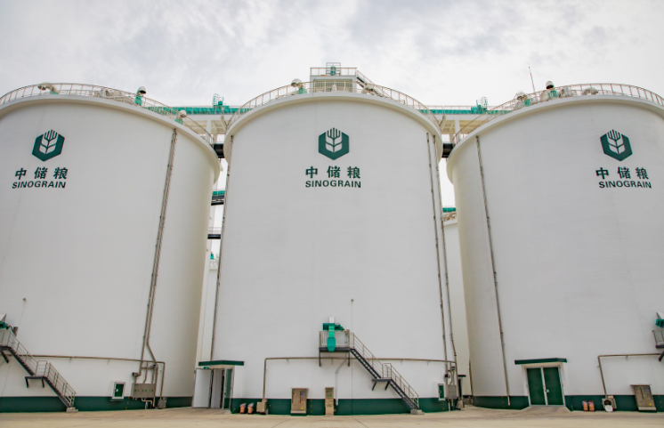 中儲(chǔ)糧夏收工作有序推進(jìn) 守住農(nóng)民“種糧賣得出”底線