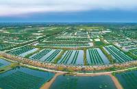 湖北支持做大做強特色產(chǎn)業(yè) 打造10個全國知名“特色之鄉(xiāng)”