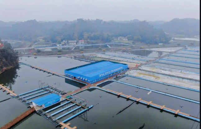 四川樂山堅持“四個聚焦” 護航漁業(yè)高質(zhì)量發(fā)展