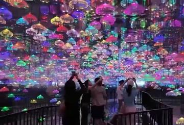 時髦新“夜”態(tài)、“室內(nèi)版”新興運動……消費“新寵”激活夏日經(jīng)濟(jì)活力