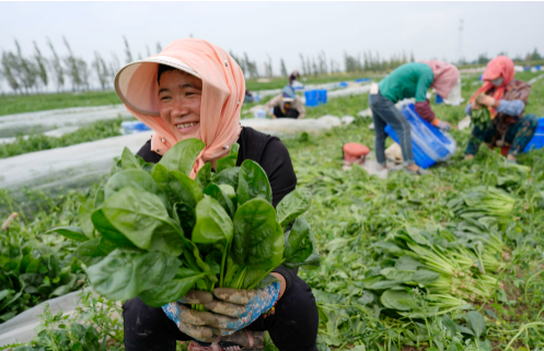 為了人民美好生活接續(xù)奮斗——智庫報告解析中國鞏固拓展脫貧攻堅成果的實踐與理論創(chuàng)新