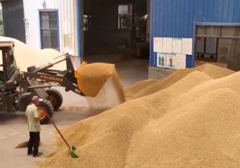 我國早稻收獲陸續(xù)展開