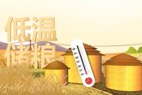 保質(zhì)保鮮 科學儲糧守好“大國糧倉”