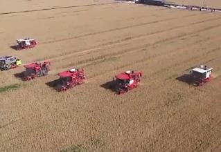 一噴三防、水肥一體化 科技賦能實現(xiàn)全國夏糧穩(wěn)產(chǎn)豐收