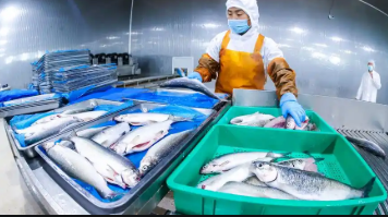 上半年新疆水產(chǎn)品總產(chǎn)量超七萬噸