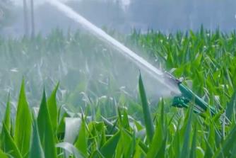 智“繪”田管圖 科技為全力保障秋糧作物生長(zhǎng)裝上“數(shù)字大腦”