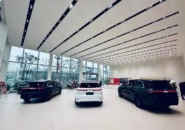 上半年新勢(shì)力車企銷量大洗牌 零跑鴻蒙理想高居前三名