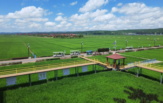 “四個(gè)農(nóng)業(yè)”驅(qū)動(dòng)吉林糧食品牌建設(shè)