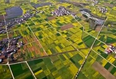 上半年全國(guó)農(nóng)業(yè)農(nóng)村經(jīng)濟(jì)運(yùn)行總體平穩(wěn)