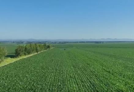 “菜籃子”產(chǎn)品供給有保障價(jià)格平穩(wěn) 可滿(mǎn)足城鄉(xiāng)居民消費(fèi)需求