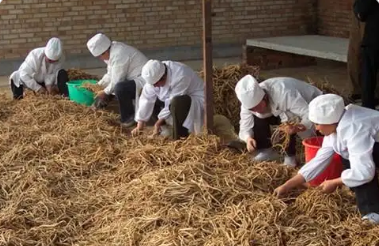 標(biāo)準(zhǔn)化種植 品牌化營(yíng)銷 山西晉城全力推動(dòng)陵川中藥材產(chǎn)業(yè)高質(zhì)量發(fā)展