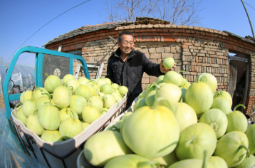 山東蔬菜瓜果上半年出口值達(dá)到804.7億元，增長3.5%