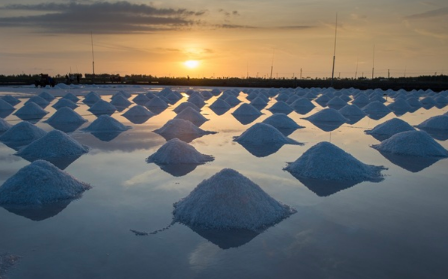 廣東鹽業(yè)集團(tuán)上半年實(shí)現(xiàn)“雙過半”