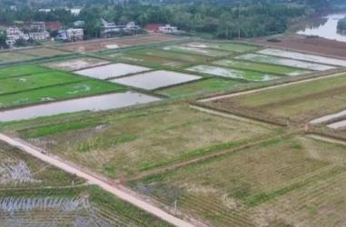 稻漁綜合種養(yǎng)、深遠(yuǎn)海養(yǎng)殖 新產(chǎn)業(yè)、新模式打開(kāi)富民增收“新路徑”