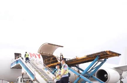 客貨齊增！國際客運貨運航線加密 絲路核心樞紐活力凸顯