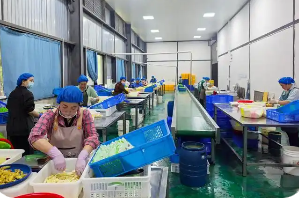 云南：打通跨省調(diào)劑通道 高效盤活閑置資產(chǎn)